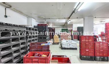 Arriendo local/Bodega Versalles, Manizales