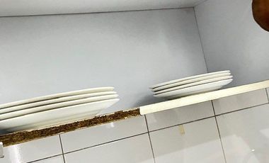 Quinta real SIN MUEBLES