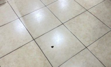 Quinta real SIN MUEBLES