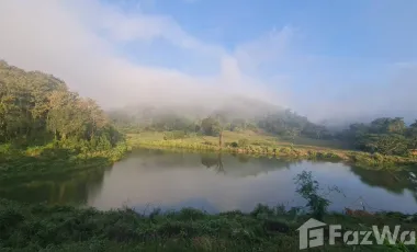 1 Bedroom House for rent in Nang Lae, Chiang Rai