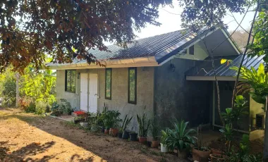 1 Bedroom House for rent in Nang Lae, Chiang Rai