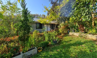 1 Bedroom House for rent in Nang Lae, Chiang Rai