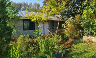 1 Bedroom House for rent in Nang Lae, Chiang Rai