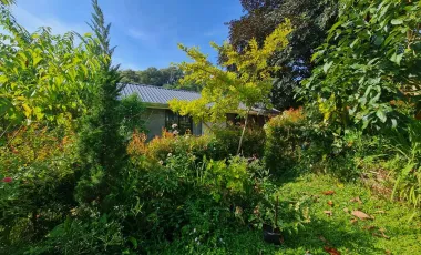 1 Bedroom House for rent in Nang Lae, Chiang Rai