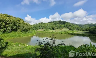 1 Bedroom House for rent in Nang Lae, Chiang Rai