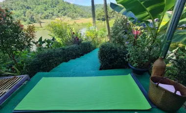 1 Bedroom House for rent in Nang Lae, Chiang Rai