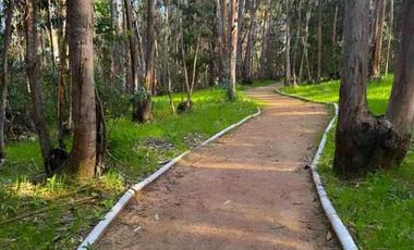 Departamento en venta en EL TABO