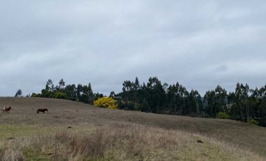 Parcela en venta  en CHANCO