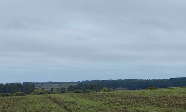 Parcela en venta  en CHANCO