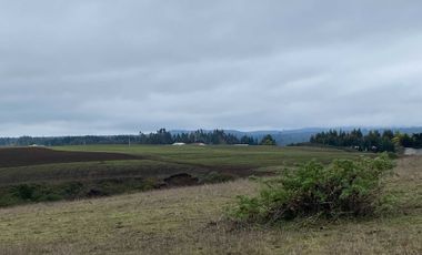 Parcela en venta  en CHANCO