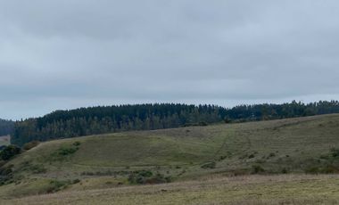 Parcela en venta  en CHANCO