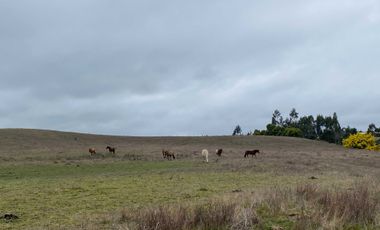 Parcela en venta  en CHANCO