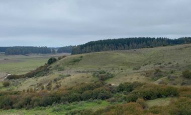 Parcela en venta  en CHANCO