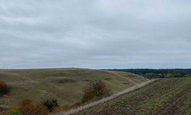 Parcela en venta  en CHANCO