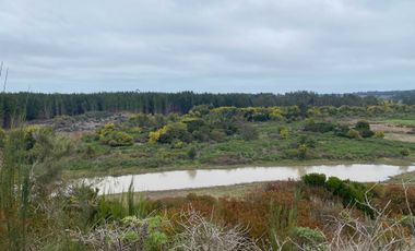 Parcela en venta  en CHANCO