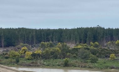 Parcela en venta  en CHANCO