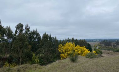 Parcela en venta  en CHANCO