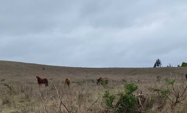 Parcela en venta  en CHANCO