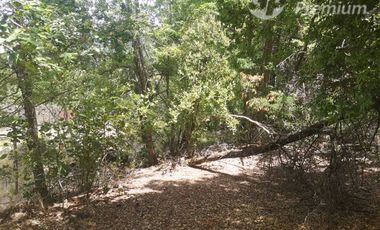 Parcela en Venta en A 800 metros camino principal