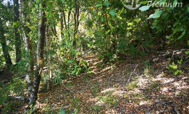 Parcela en Venta en A 800 metros camino principal