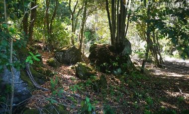 Parcela en Venta en A 800 metros camino principal