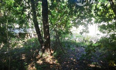 Parcela en Venta en A 800 metros camino principal