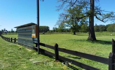 Parcela en Venta en Sector Trapi - Río Bueno