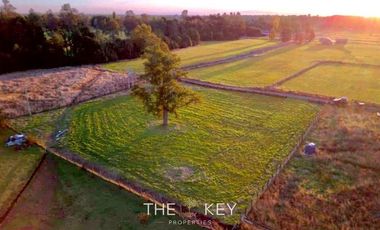 Parcela en Venta en Sector Trapi - Río Bueno