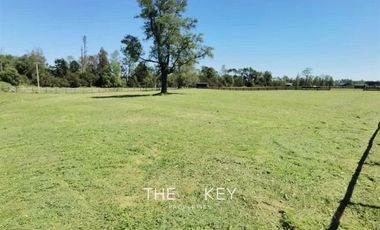 Parcela en Venta en Sector Trapi - Río Bueno