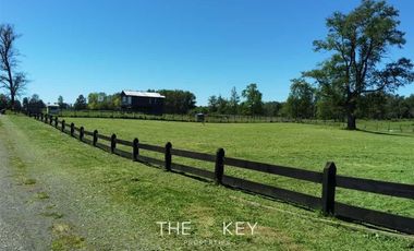 Parcela en Venta en Sector Trapi - Río Bueno