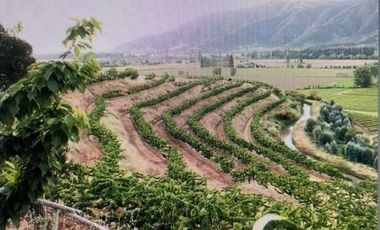 Agrícola en Venta en Santuario Las Palmas, Cocalan