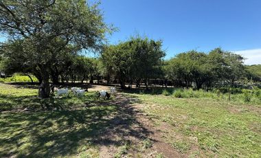 VENTA CASA 2 DORM CON PILETA LA GRANJA TERRENO 1HA