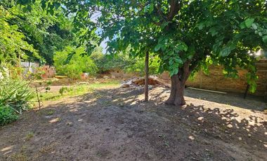 Se vende CASA + LOCAL + GRAN TERRENO - RICHIERI