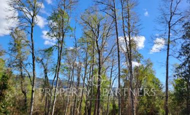 Parcela sector Pichihuape