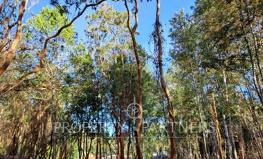 Parcela sector Pichihuape