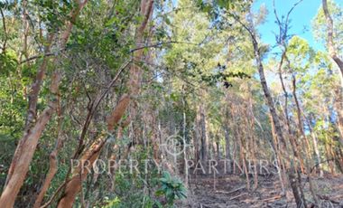 Parcela sector Pichihuape