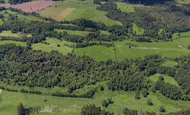 Vende parcelas en Proyecto Valle del Ranco, desde 5.000 mt2 con rol propio, Ubicado en Paillaco, Lago Ranco.