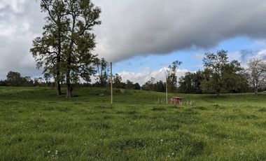 Vende parcelas en Proyecto Valle del Ranco, desde 5.000 mt2 con rol propio, Ubicado en Paillaco, Lago Ranco.