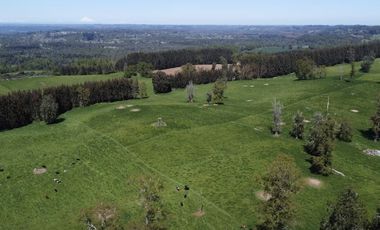 Vende parcelas en Proyecto Valle del Ranco, desde 5.000 mt2 con rol propio, Ubicado en Paillaco, Lago Ranco.