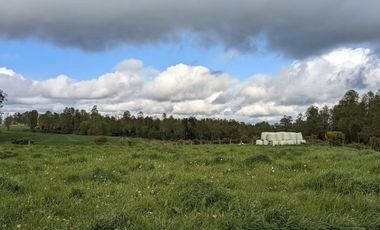 Vende parcelas en Proyecto Valle del Ranco, desde 5.000 mt2 con rol propio, Ubicado en Paillaco, Lago Ranco.