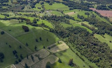 Vende parcelas en Proyecto Valle del Ranco, desde 5.000 mt2 con rol propio, Ubicado en Paillaco, Lago Ranco.