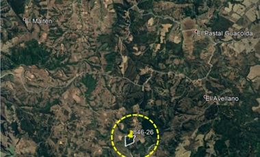 Vende campo de 21 hectáreas en Traiguén, sector Colpi, rol chileno
