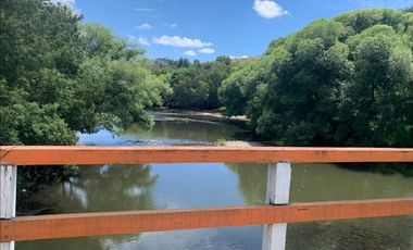 Vende campo de 21 hectáreas en Traiguén, sector Colpi, rol chileno