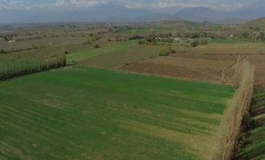 Vende parcelas de 5.000 mt2, rol propio, en Rinconada de Los Andes. Parcelación San Guillermo. Crédito Directo.