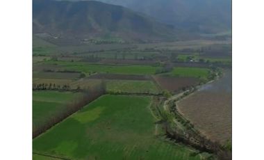Vende parcelas de 5.000 mt2, rol propio, en Rinconada de Los Andes. Parcelación San Guillermo. Crédito Directo.