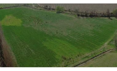 Vende parcelas de 5.000 mt2, rol propio, en Rinconada de Los Andes. Parcelación San Guillermo. Crédito Directo.