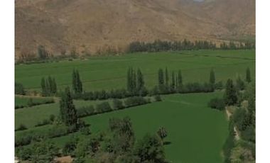 Vende parcelas de 5.000 mt2, rol propio, en Rinconada de Los Andes. Parcelación San Guillermo. Crédito Directo.