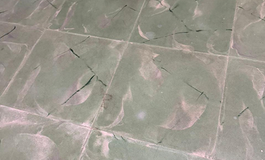 Casa en venta para remodelar a una cuadra de la Av. Itzaes