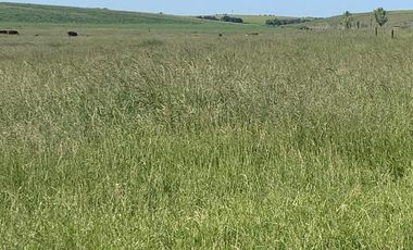 Terreno Barrio Playa Los Lobos