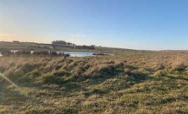 Terreno Barrio Playa Los Lobos